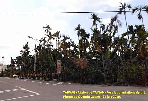 02 Taiwan- Region de Tainan 002